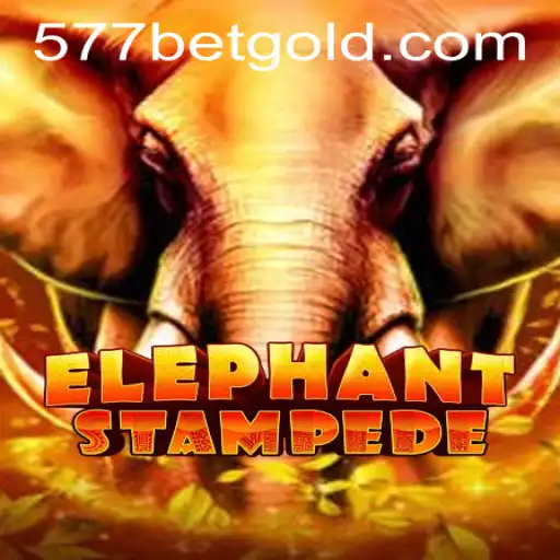 ElephantStampede: A Thrilling Adventure Awaits